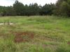 4668 West Oglethorpe Highway photo